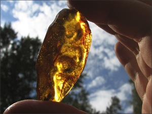 amber stone