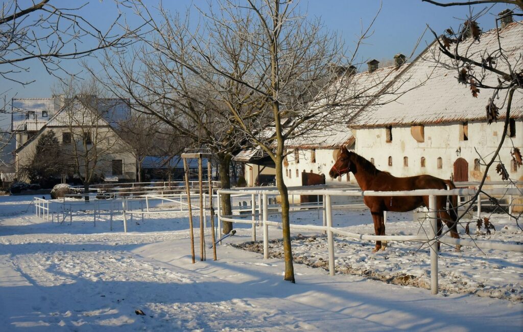 Kierzbuń Riding Centre