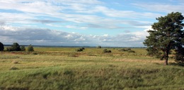 Lubuskie region near Skwierzyna