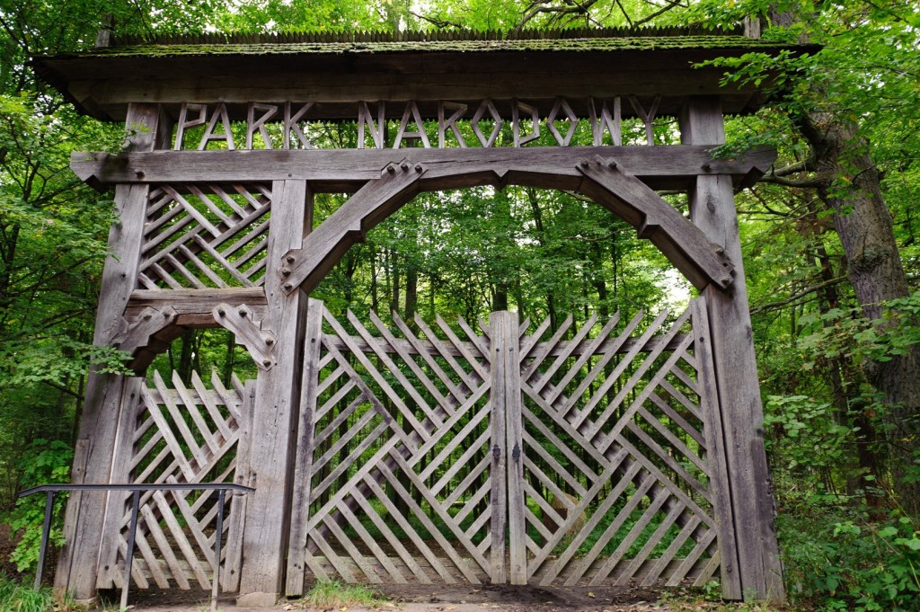 bialowieska national park