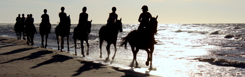 horse riding on the beach