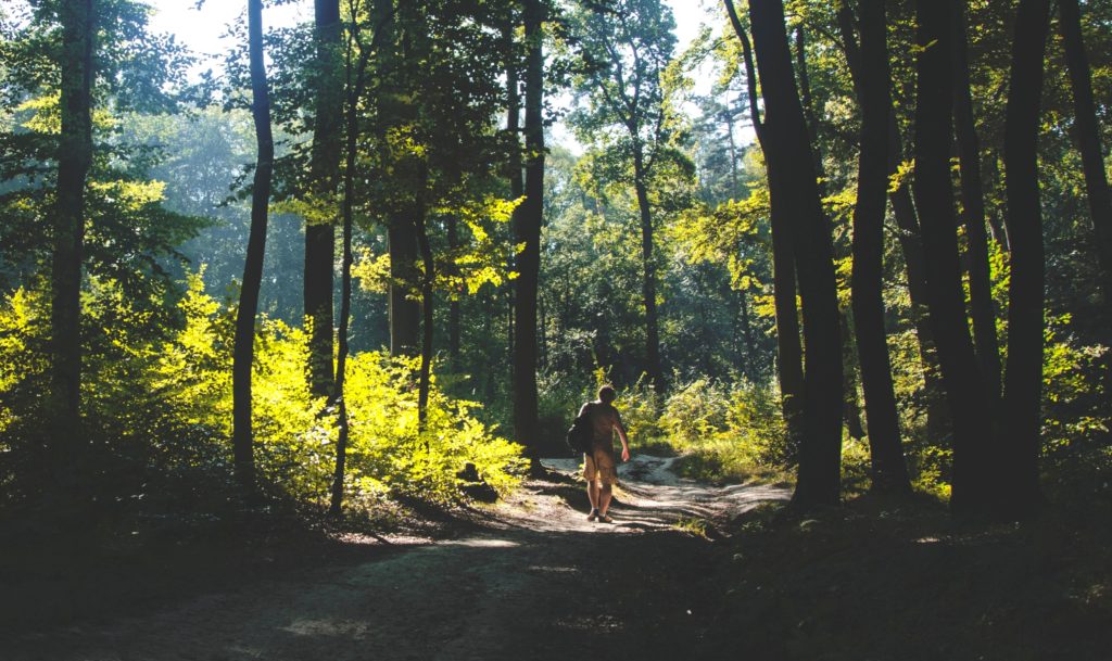 man walking through forest alone