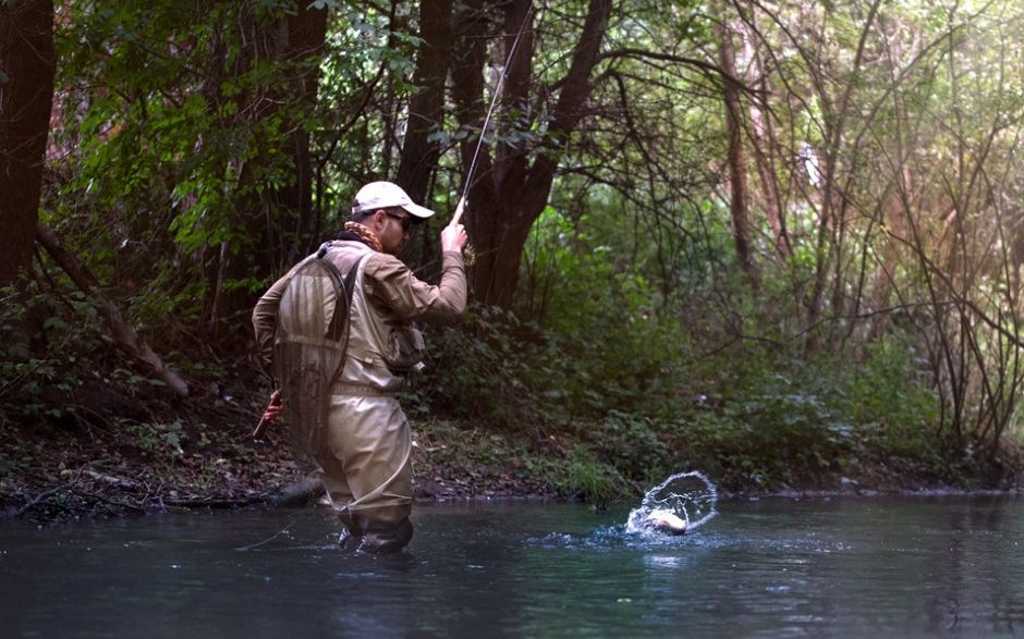 fly fishing poland greszta