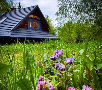 forest bathing accommodation 4