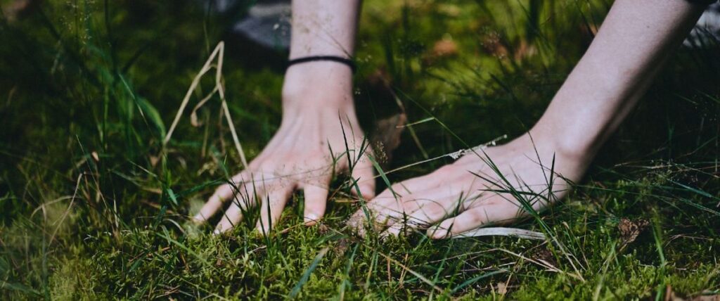 forest bathing hands 1200